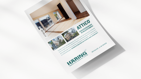 HÄRING FLYERS UND ZEICHEN