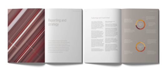 ROCHE GESCHÄFTSBERICHT 2022